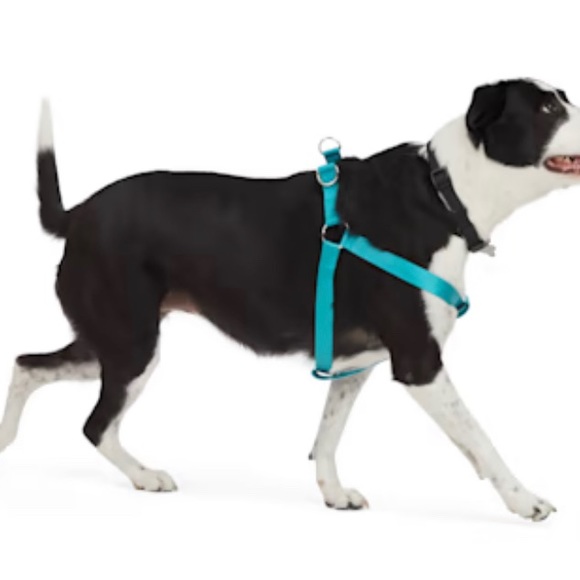 Lot of 2 YOULY Dog Harness"The Classic" & "The Wanderer" Size Medium NWT - Picture 7 of 10